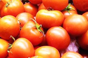 蕃茄不但有美容之效，而且更有助腸道消化，對女士們而言，可謂一種修身養顏的水果。