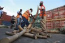 Kenya Ports Authority workers and Kenya Wildlife Services (KWS) officials arrange elephant tusks recovered at the container terminal in the coastal city of Mombasa