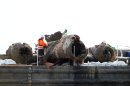 The remains of a crashed World War II Dornier bomber, the only surviving German Second World War Dornier Do 17 bomber, rests on a barge after being raised from the English Channel off Deal, southern England, Monday June 10, 2013. The aircraft was shot down off the Kent coast more than 70 years ago during the Battle of Britain and the project is believed to be the biggest recovery of its kind in British waters. Attempts by the RAF Museum to raise the relic over the last few weeks have been hit by strong winds but the operation was finally successful. (AP Photo/PA, Gareth Fuller) UNITED KINGDOM OUT NO SALES NO ARCHIVE