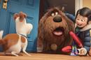 In this image released by Universal Pictures, from left, characters Max, voiced by Louis C.K., Duke, voiced by Eric Stonestreet, and Katie, voiced by Ellie Kemper, appear in a scene from, "The Secret Lives of Pets." (Illumination Entertainment and Universal Pictures via AP)