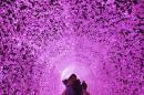 AP10ThingsToSee - A couple poses under an illuminated tunnel to celebrate the upcoming Christmas and New Year at Garden of Morning Calm in Gapyeong, South Korea, Friday, Dec. 20, 2013. Christmas is one of the biggest holidays in South Korea. (AP Photo/Ahn Young-joon)