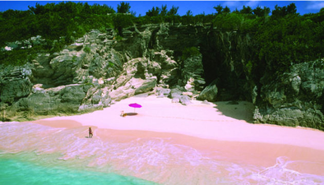 Pink Sands Beach (Bahamas)