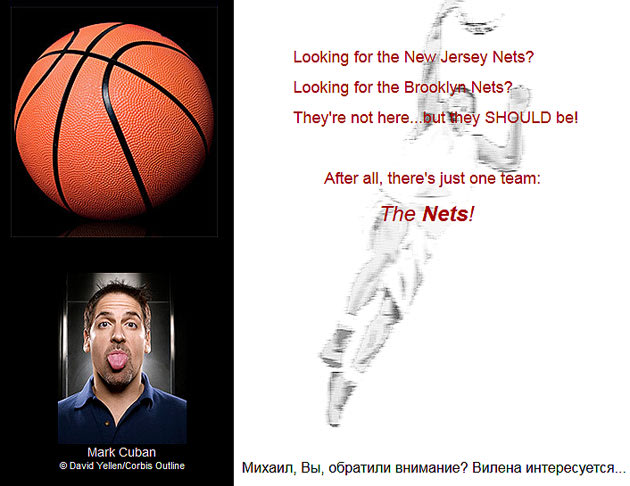 Nets.com Is Not What You Think