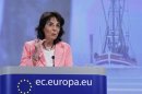 EU Maritime Affairs and Fisheries Commissioner Damanaki addresses a news conference in Brussels