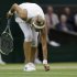 Victoria Azarenka of Belarus picks up bird feathers from the court during a fourth round singles match against Ana Ivanovic of Serbia at the All England Lawn Tennis Championships at Wimbledon, England, Monday, July 2, 2012. (AP Photo/Anja Niedringhaus)