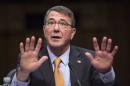 U.S. Defense Secretary Ash Carter testifies before a Senate Armed Services Committee hearing on Capitol Hill