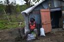 'Inhumane' conditions at Haiti hurricane shelters: UN expert