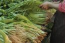 蔬菜交易價 每公斤破43元.