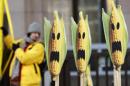 Greenpeace activist displays signs symbolising genetically modified maize crops during a protest in Brussels
