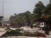 A resident walks past swaying palm trees following the passing of Hurricane Ernesto in Mahahual