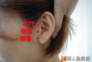 保健聽力的耳朵穴位。（攝影／黃志文）