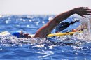 Diana Nyad Pulled From the Water, Ending Historic Swim