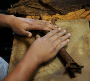 كيف أنتجت كوبا الفقيرة أفخر أنواع السيجار؟ Hand-rolled-cuban-cigars-jpg_134449