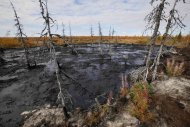 <p>               This Saturday, Sept. 10, 2011 photo shows dying trees next to an oil spill near the town of Usinsk, 1500 kilometers (930 miles) northeast of Moscow. Komi is one of Russia's largest and oldest oil provinces but ruptures in aging pipelines and leaks from decommissioned oil wells make oil spills in the region routine. Environmentalists estimate at least 1 percent of Russia's annual oil production, or 5 million tons (35 million barrels), is spilled every year. That's equivalent to one Deepwater Horizon-scale leak about every two months. Crumbling infrastructure and a harsh climate combine to spell disaster in the world's largest oil producer, responsible for 13 percent of global output. (AP Photo/Dmitry Lovetsky) PART OF A 14-PICTURE PACKAGE BY DMITRY LOVETSKY