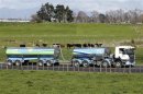 File photo of a Fonterra milk tanker arriving to Fonterra's Te Rapa plant near Hamilton