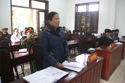 Một phụ nữ thắng kiện Viện KSND huyện 695 triệu đồng Thang-kien-20130125-005503-674