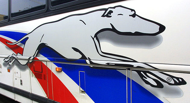 Greyhound's company logo (Tim Boyle/Getty)