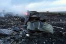 Wreckage of the Malaysian airliner after it crashed, near the town of Shaktarsk, in rebel-held east Ukraine