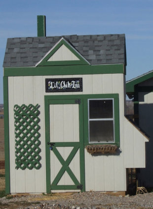  Homesteading 101: Budget Friendly Chicken and Duck Coop Building Ideas