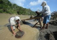 Miners pan for gold at a river near the typhoon disaster zone in Mawab town, Compostela Valley province, on December 9. The plantations and hopes of striking it rich have drawn hundreds of thousands of poor migrants in search of work