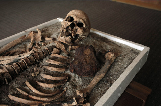 A skeleton dating back to the Middle Ages and recently unearthed in the black sea town of Sozopol, and displayed at National History Museum in  Sofia, Thursday, June 14, 2012. Ever since archaeologist