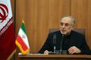 Head of Iran's Atomic Energy Organisation Ali Akbar Salehi speaks in Tehran on November 11, 2013