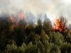 Πυρκαγιά σε δασική έκταση στην Κορινθία!