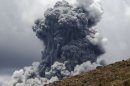 New Zealand volcano erupts