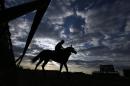 A horse goes for a morning workout at Churchill Downs Saturday, May 3, 2014, in Louisville, Ky. The 140th Kentucky Derby will be run on Saturday at Churchill Downs. The scheduled post time is 6:24 p.m. EDT. (AP Photo/Matt Slocum)