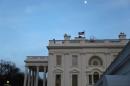 A flock of birds fly over the White House at dusk. (Getty Images)