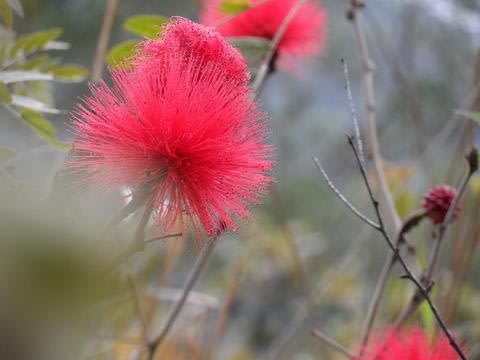 隨拍隨傳好好玩的平價高倍變焦 WiFi 相機，Samsung WB150F 動手玩