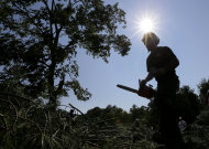 A worker uses a chainsaw to clear branches from a tree that fell onto the 14th fairway at Congressional Country Club in Bethesda, Md., Saturday, June 30, 2012, after a strong storm blew through overnight. The AT&T National golf tournament was postponed to allow workers to clear the course. More than two million people across the eastern U.S. lost power after violent storms and two people died, including a 90-year-old woman asleep in bed when a tree slammed into her home, a police spokeswoman said Saturday. (AP Photo/Patrick Semansky)