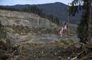 An American flag hangs from the only cedar post left standing at the scene of a deadly mudslide, Monday, March 31, 2014, in Oso, Wash. (AP Photo/The Herald, Sofia Jaramillo, Pool)