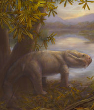 The pig-size Dicynodon was part of a large, dominant group of plant eaters found across the southern hemisphere until the mass extinction event weakened their numbers so that newly emerging herbivores could compete. New research published April
