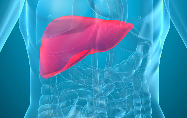 8 tips for a healthy liver | Fit To Post Health - Yahoo! News ...