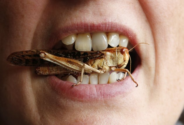 A woman poses with a locust …