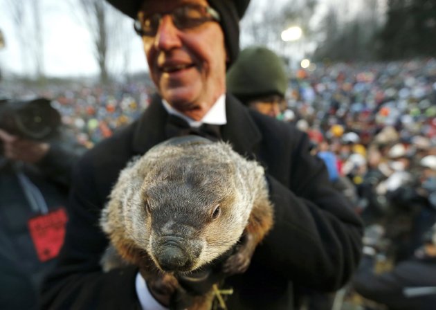 Pa.'s Punxsutawney Phil predicts early spring 51d1959cfea25d03280f6a70670092b8