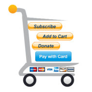 Five Tips for Choosing a Payment Gateway image shoppingonline