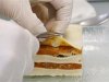 A laboratory worker of the Official Food Control Authority of Canton Bern extracts the meat of beef lasagne for a DNA test in the laboratory in Bern