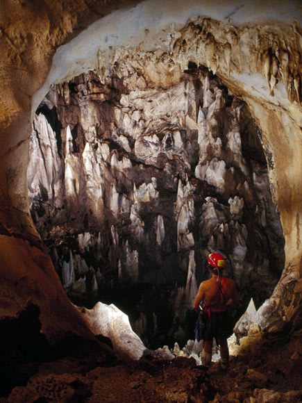 Tardis Cave, Borneo