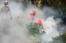 Dominican Air Force personnel fumigate various locations in Santo Domingo against the Aedes aegypti mosquito, on January 23, 2016