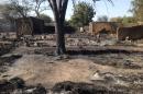 A burned down village after it was attacked by Boko Haram rebels, in Nougboua, Chad, on February 13, 2015