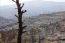 Vista del paisaje calcinado del término municipal de Yátova. EFEUn vehículo calcinado en el término municipal de Yátova. EFEUn hidroavión trabaja en las tareas de extinción de los incendios forestales que afectan a las localidades valencianas de Cortes de Pallás y Andilla. EFE