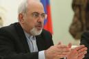 Iran's Foreign Minister Mohammad Javad Zarif speaks in Moscow on January 16, 2014