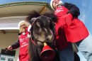 In this Nov. 17, 2012 photo Tinker, a miniature horse, rings a red bell for the Salvation Army outside a craft fair in West Bend, Wis. with his owners Carol and Joe Takacs. Salvation Army officials say Tinker raises 10 times more than a regular bell ringer. (AP Photo/Carrie Antlfinger)