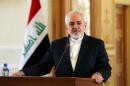 Saudi Arabia is "spreading delusional hype about Iran", Tehran's Foreign Minister Mohammad Javad Zarif (pictured) said in a letter to UN Secretary-General Ban Ki-moon