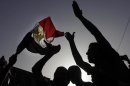 Egyptian protesters shout anti-Muslim brotherhood slogans and wave a national flag during a protest against the new judiciary law at the high court in Cairo, Egypt, Monday, June 3, 2013.(AP Photo/Amr Nabil)