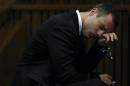 Oscar Pistorius attends his trial at the high court in Pretoria