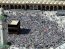 Muslim pilgrims walk around the Kaaba in the Grand Mosque of the holy city of Mecca during the annual Hajj pilgrimage
