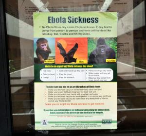 A poster reading &#39;Ebola Sickness&#39; is displayed&nbsp;&hellip;